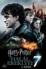 Harry Potter és a Halál ereklyéi 2. rész (2011) képek
