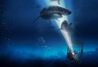 47 méter mélyen (2017)