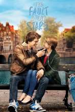 The Fault in Our Stars (2014) - Angol poszter