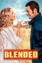 Blended (2014) - Angol poszter (2690)