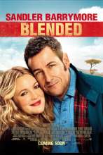 Blended (2014) - Angol poszter (2691)